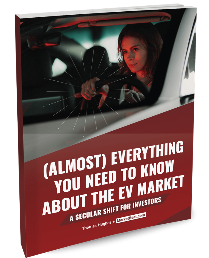 (Almost) Everything You Need To Know About The EV Market Cover