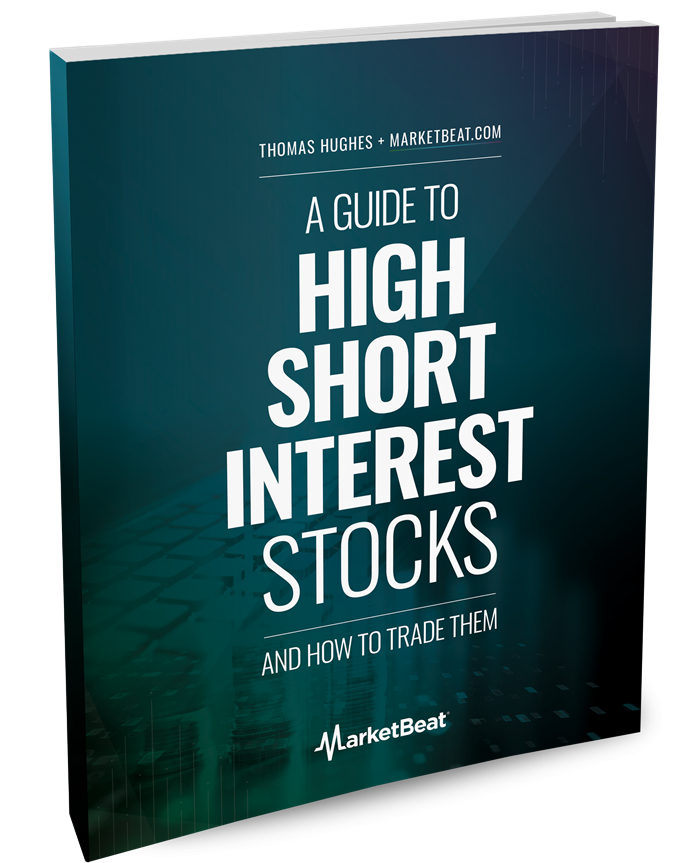 A Guide To High-Short-Interest Stocks